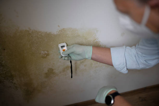 Best Crawl Space Mold Removal  in Marthasville, MO