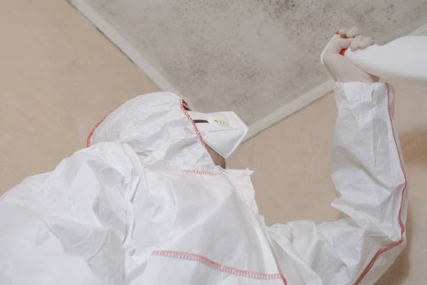 Best Residential Mold Removal  in Marthasville, MO